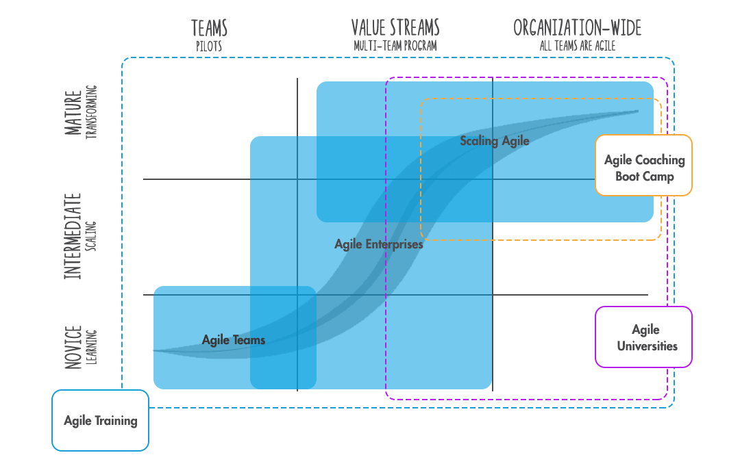 agile transformation services