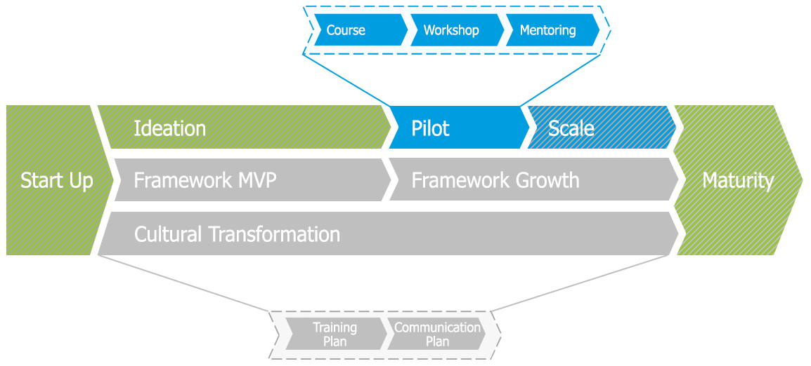 enterprise transformation