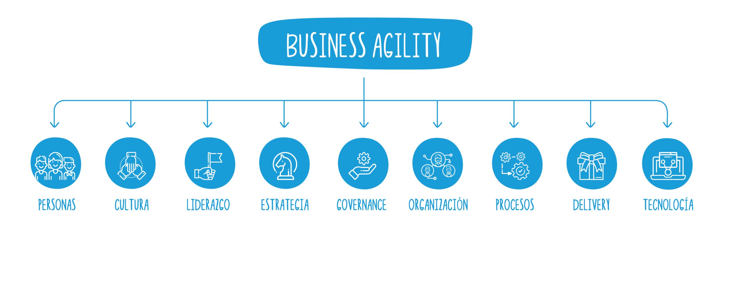 Business Agility Netmind